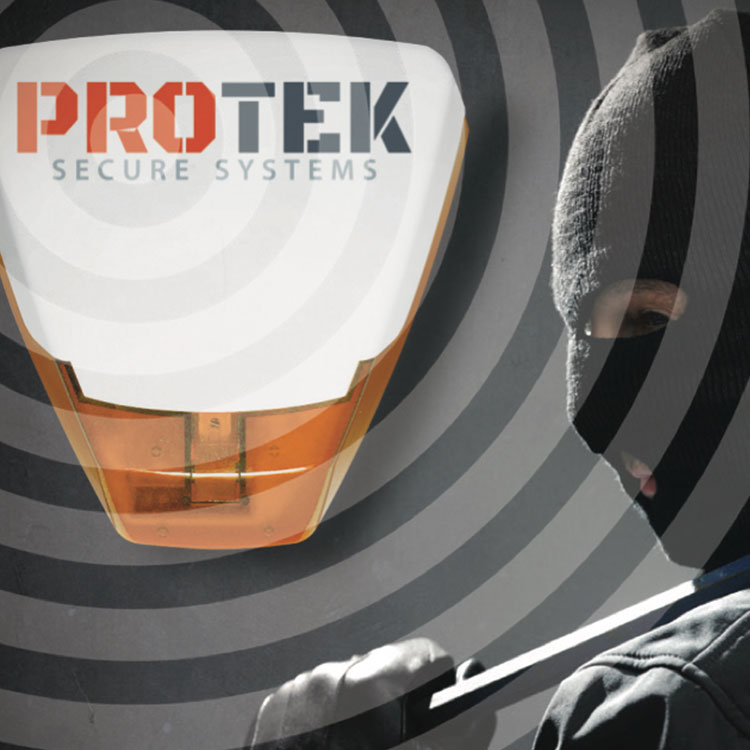 Home ProTek Security Systems